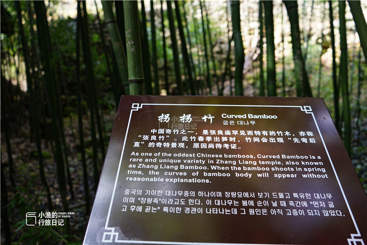 陕西秦岭神秘地,陕西秦岭神秘山脉