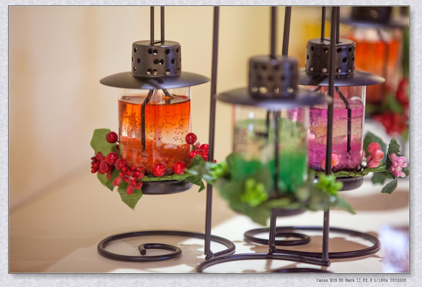 常州旅游东方盐湖城,骆驼之旅视频