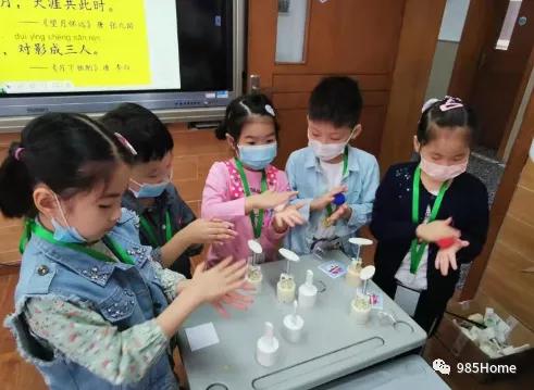 985home,上海师范大学附属小学梯队