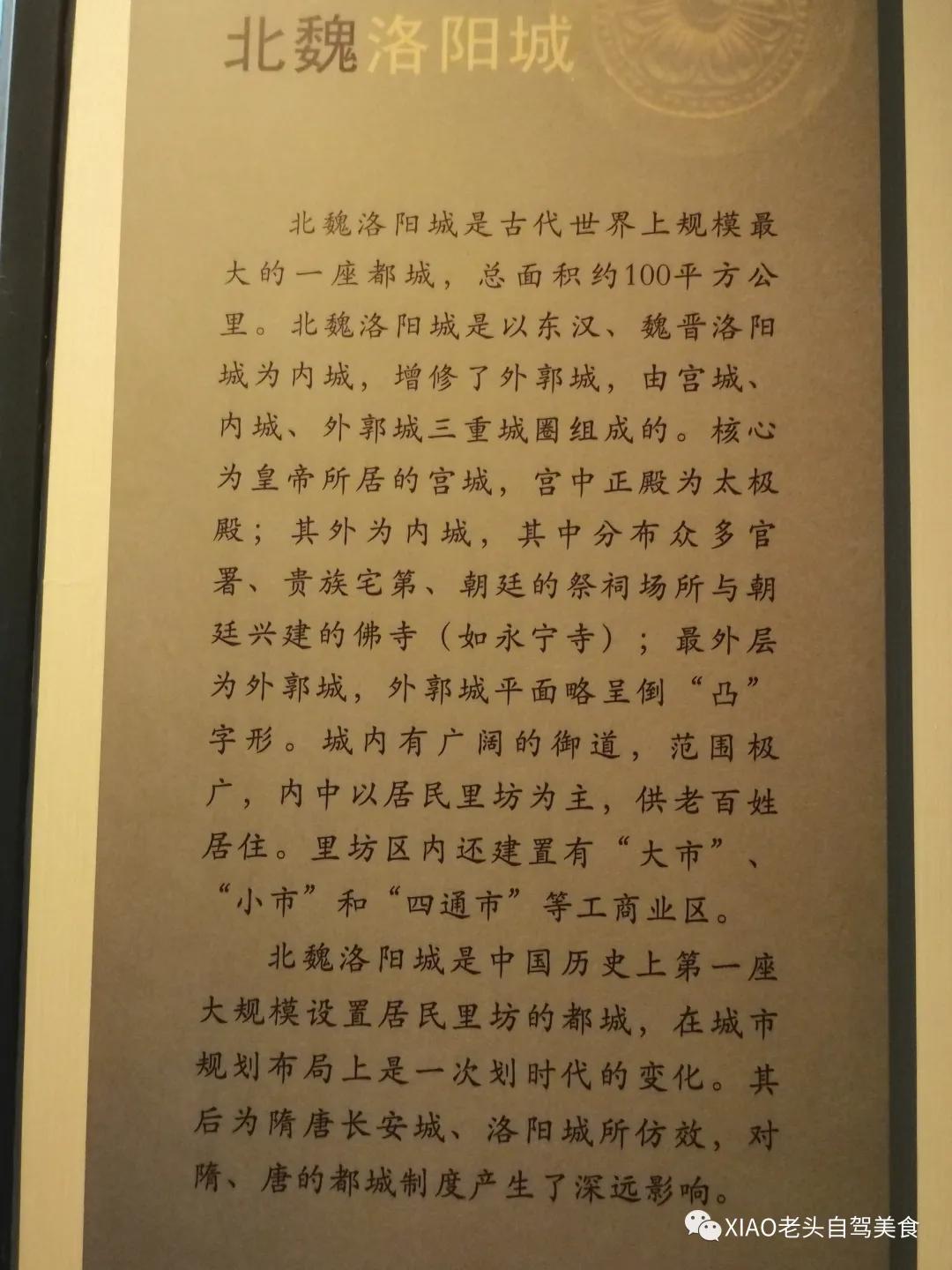 洛阳博物馆自驾旅游攻略,洛阳附近美食博物馆