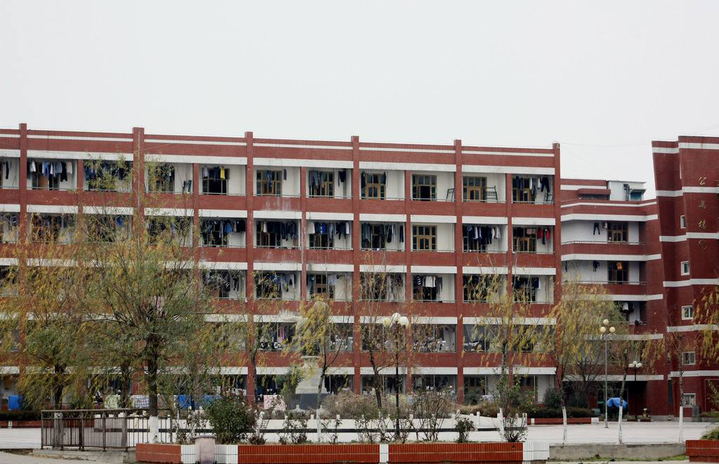 宿州5所高校排名,宿州市埇桥区重点高中排名前十位