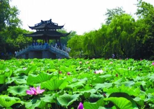 关于月的10首诗,以月为意象的十首诗