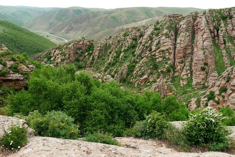 内蒙黄花沟草原游记,黄花沟草原介绍