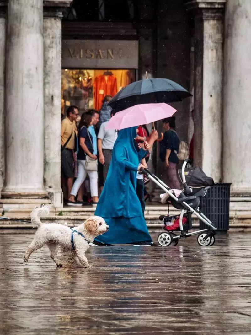 鎴戠殑鏃呮父鎽勫奖缇庡浗娓歌,鎽勫奖浣滃搧鎴戠殑鏃呰