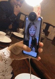 在野外发现甘蔗,在山里发现甘蔗