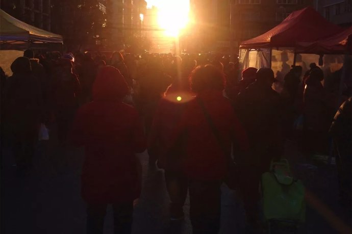 三毛我的宝贝在线阅读配图,三毛我的宝贝读后感