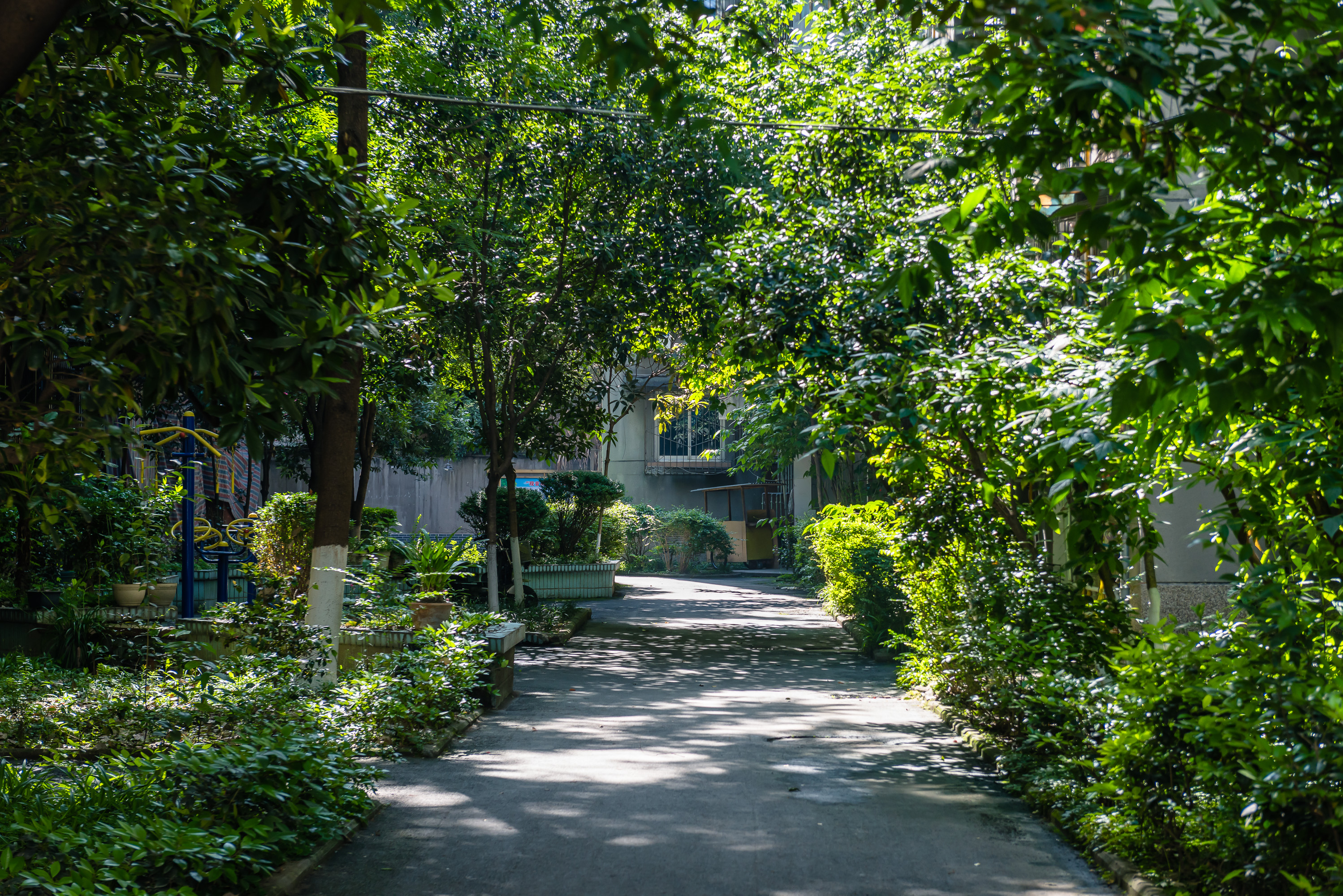 成都老城区改造,成都2024老城区改造