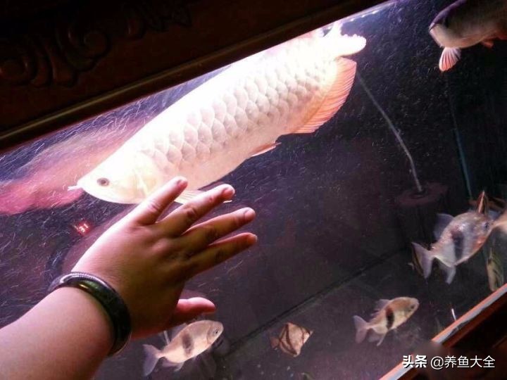 用烟灰缸砸小三,有人用烟灰缸砸老婆