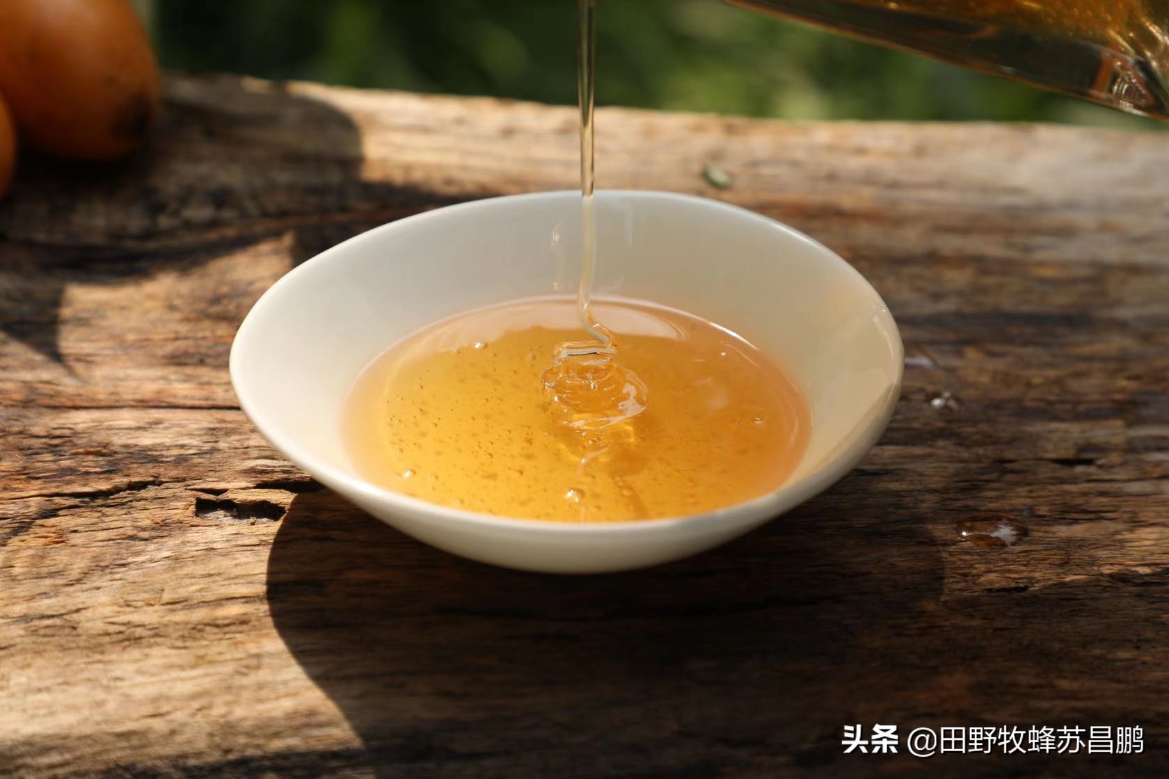 土蜂蜜枇杷蜜采集,枇杷蜜在几月采