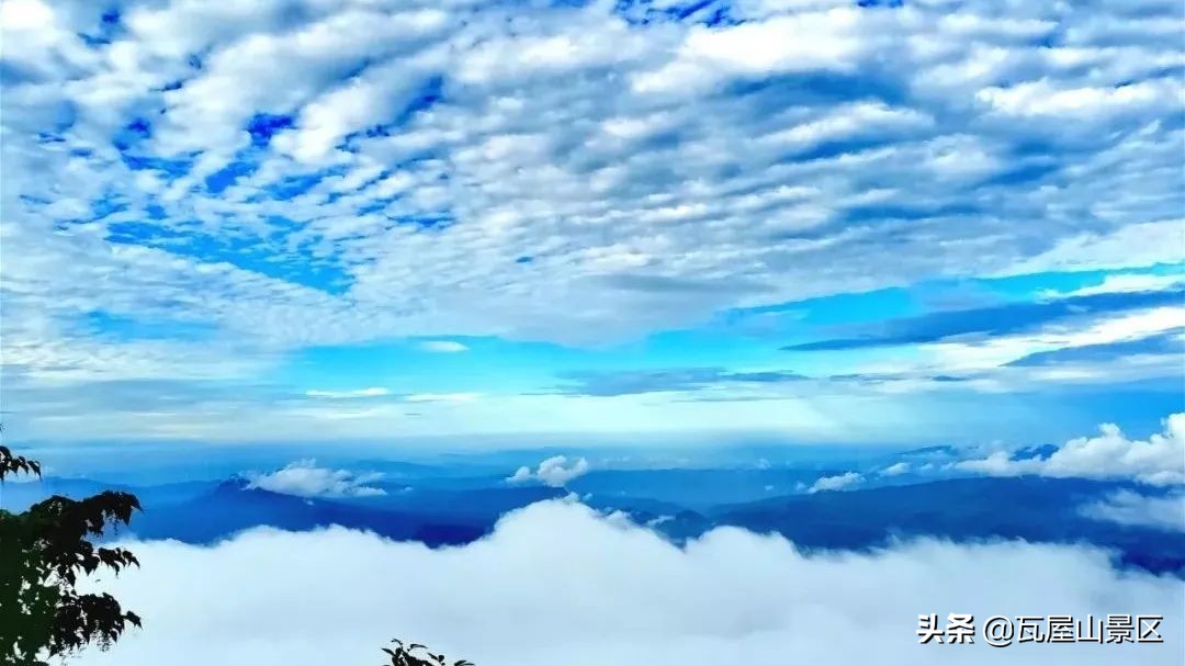 送你个惊喜,送给你个惊喜英文