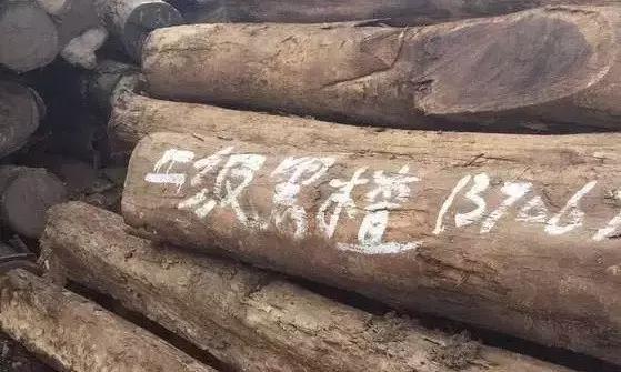 明清时期最受欢迎的7种红木用材,红木用材特征分类标准有哪些