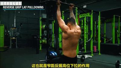 背部肌肉训练计划虐出完美的背肌,背部各个肌肉位置锻炼方法