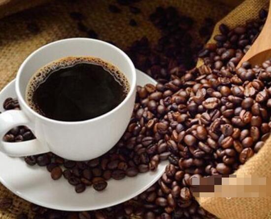 椰子猫吃东西,椰子猫喂咖啡豆