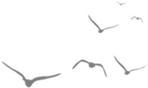 陈东升、阎志来站台，湖北这市又搞大事情