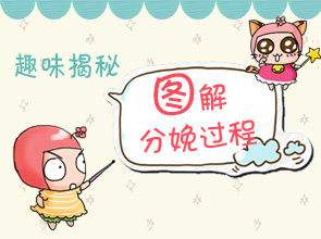 探究分子在不断运动,探究分子间的作用力实验