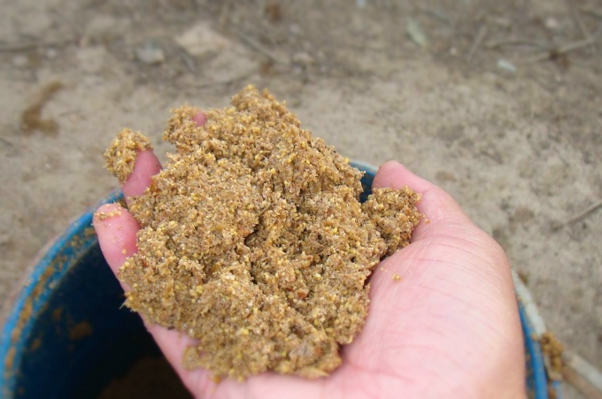 三十年了，这鲤鱼饵的“威力”依然不可小看！每年十月我只用它