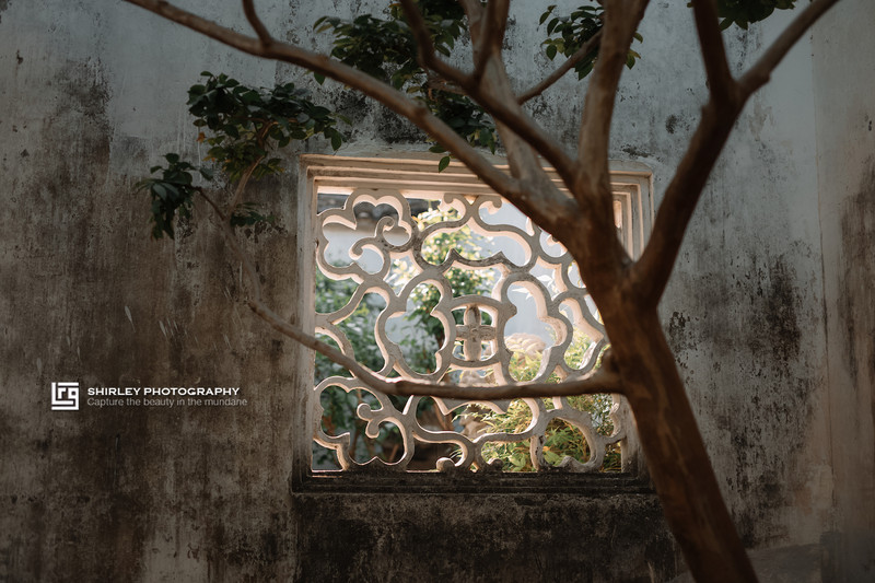 苏州旅游最不能错过的江南园林,留园拙政园是苏州著名的园林