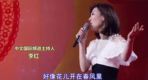 李红最真实的照片,李红被称为央视颜霸