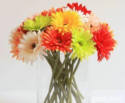 鲜花插花技巧专业术语,插花常见鲜花名称大全