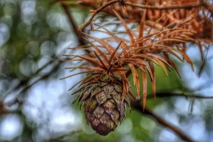 成都五一旅游人少亲子游景点推荐,五一成都旅游去哪儿玩