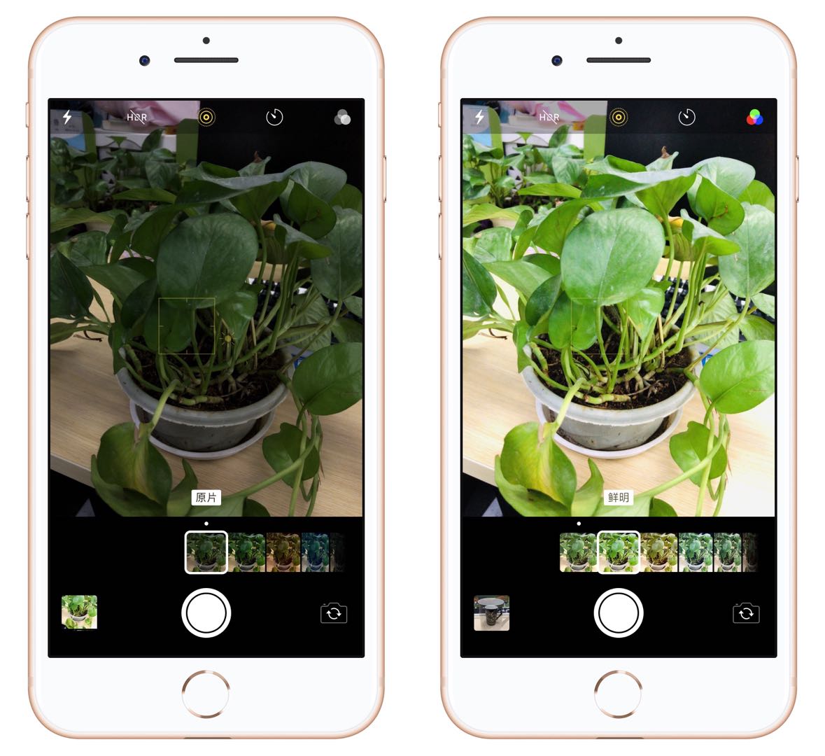 苹果手机拍照功能有哪些,5大逆天软件