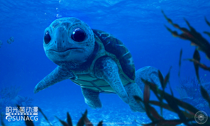 国外画精灵宝可梦,插画宝可梦