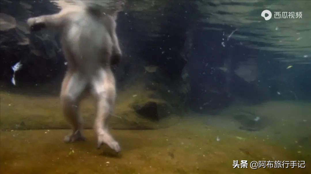 豆瓣9.1分看哭百万人,豆瓣评分9.0却很少有人看懂