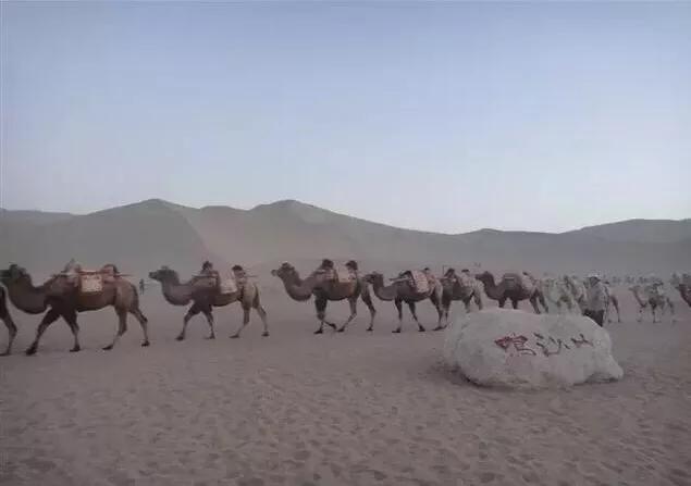 流浪地球旅游排名,徒步旅行流浪地球