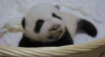 为什么不熬夜眼袋和黑眼圈也很重,长期黑眼圈不熬夜也不恢复怎么办