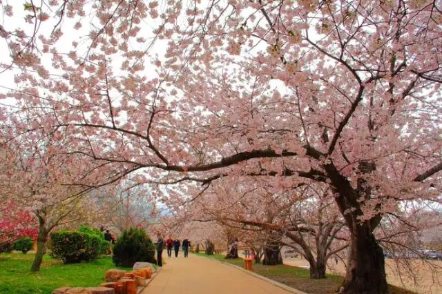 辽宁旅游景点推荐3天自由行,辽宁学生旅游景点推荐