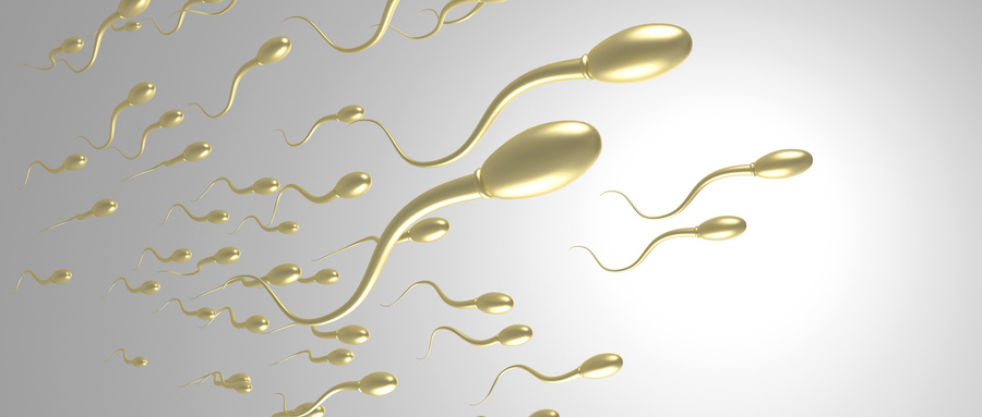 男人不重视精囊炎,考虑清楚,这4个后果身体能不能承受