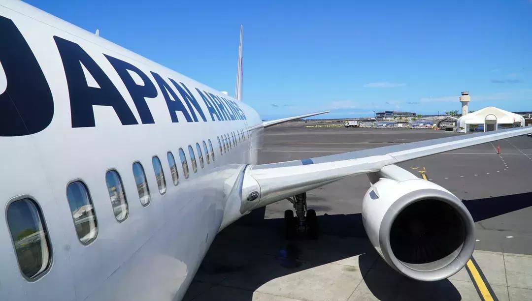 夏威夷大岛自驾游游记,大岛夏威夷岛七日游