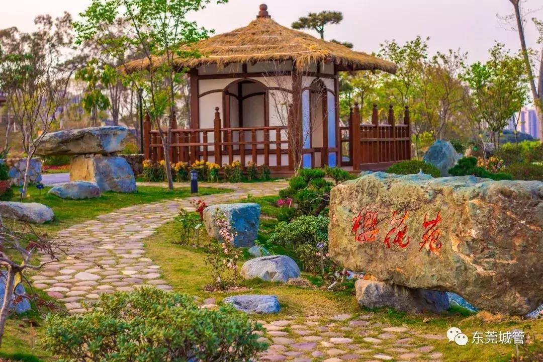 郑州春节周边景区免费景点大全,春节赏花的好去处