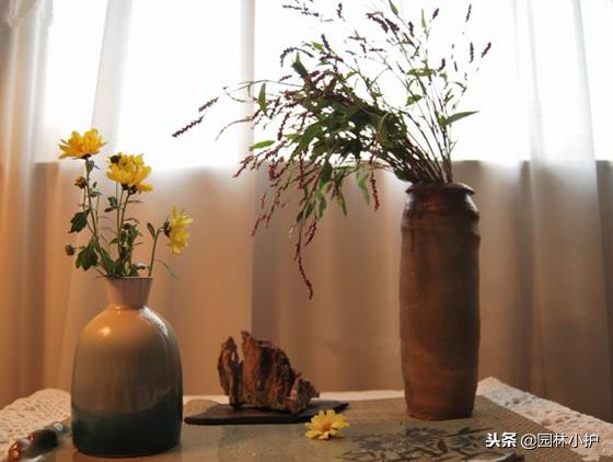 红蓼草做酒曲,没有老酒曲怎样用辣蓼草做酒曲