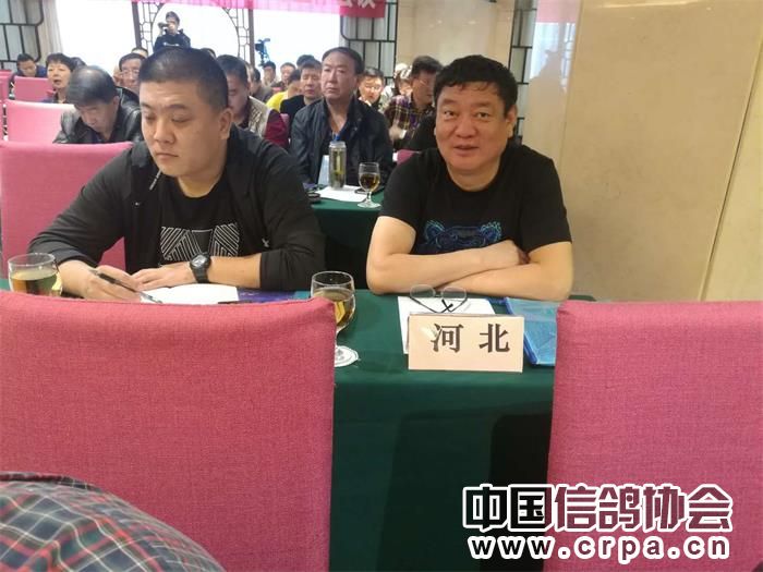 中国信鸽协会各地鸽会,惠州市信鸽协会电话