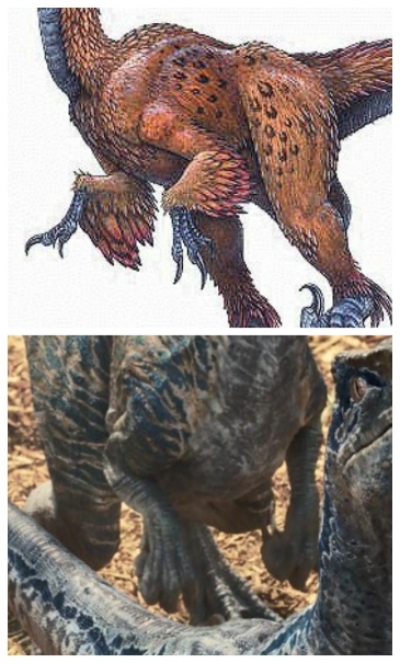 迅猛龙和伶盗龙是不是同一种恐龙,伶盗龙和迅猛龙的区别