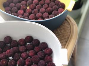 杨梅酒的正确泡法步骤和比例,杨梅酒的正确泡法步骤配方