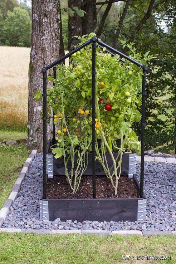 园林绿化怎么做,小型庭院温室制作过程