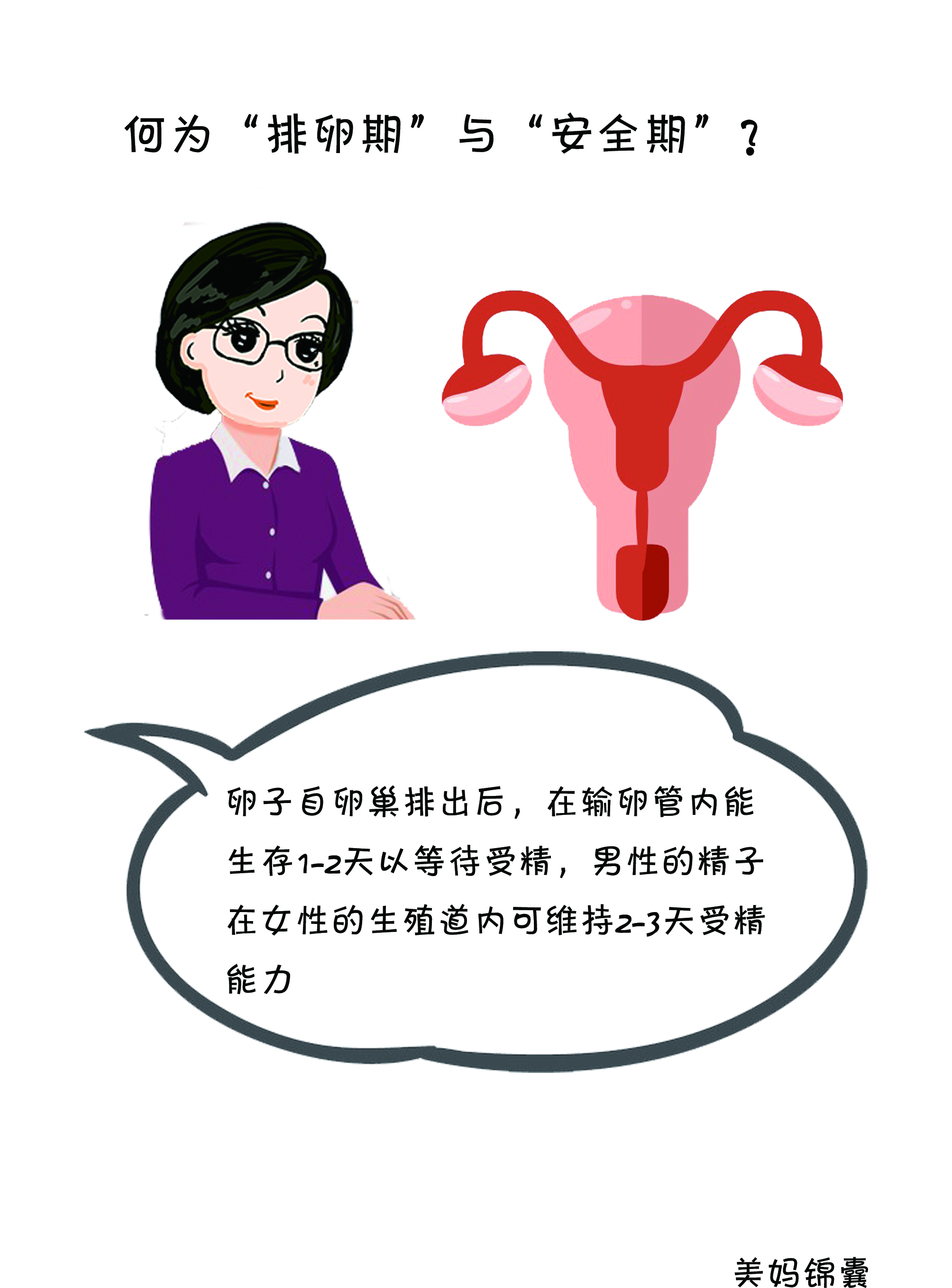 排卵期与安全期图表,排卵期几天是安全期