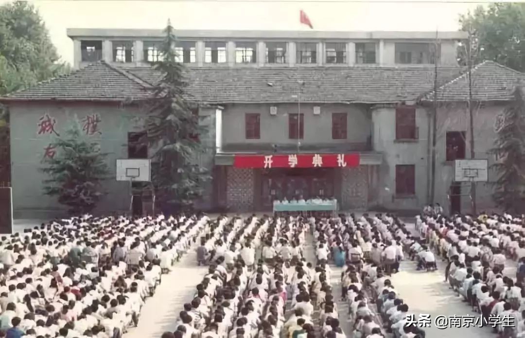 江苏南京的十大名校,南京百年小学排名