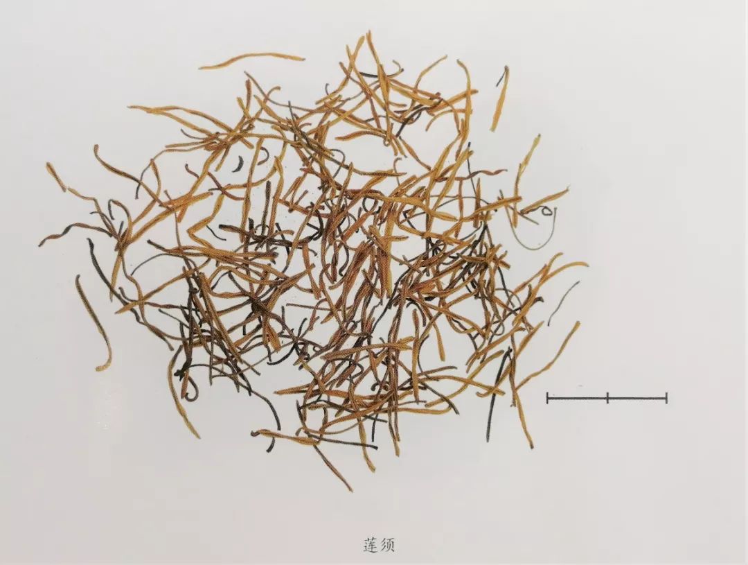 新版人民币金线错位有收藏价值吗,人民币里竟然还藏着这些小秘密