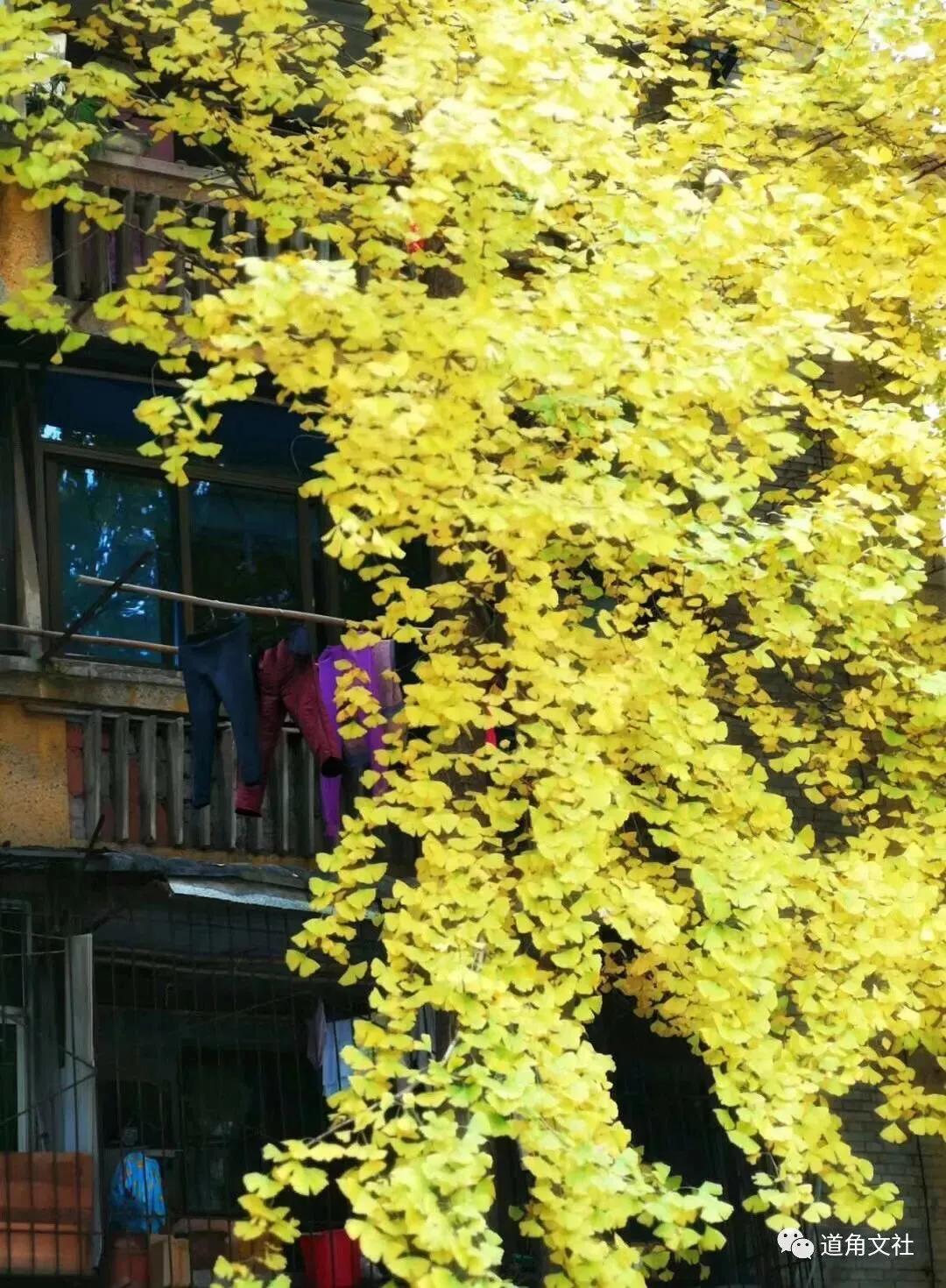 鐏攨濂冲鍘熷敱,鐏攨閲岀殑濂充汉