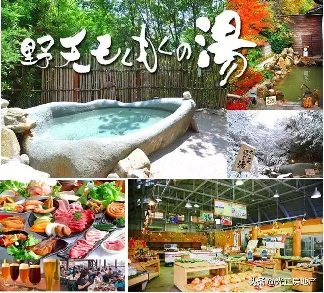 亲子游乐与乡村振兴,乡村振兴与旅游结合的优秀案例