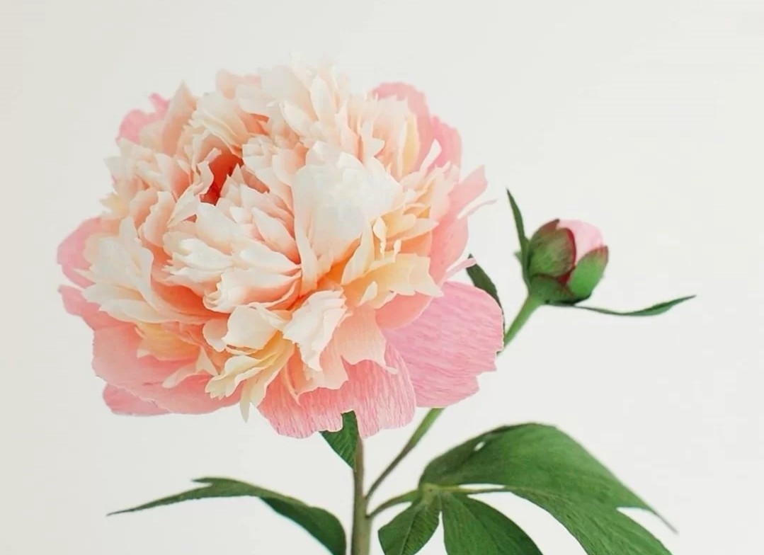 蓝色花花花语,花语是我喜欢你的花