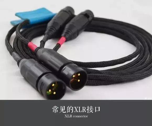 干货有哪些内容,干货的内容有哪些