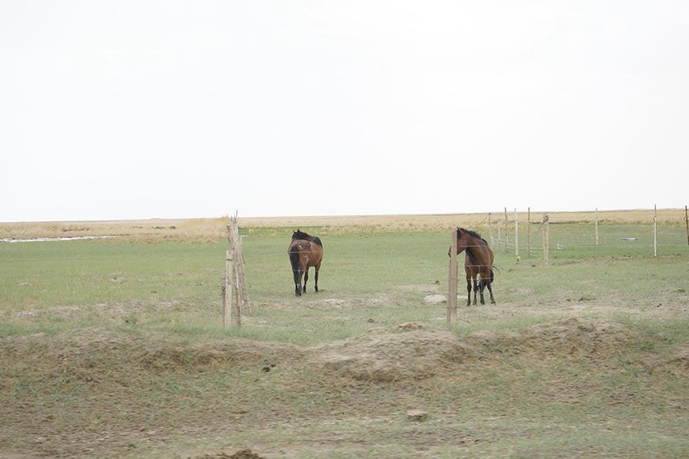 全新标致4008环青海长测Day5：感受恶魔之眼，茫崖翡翠湖爆赞！