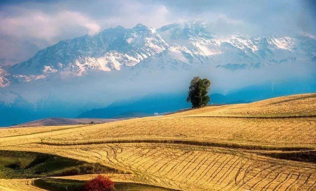 为什么建议不要频繁的换工作,如何看待年轻人频繁换工作