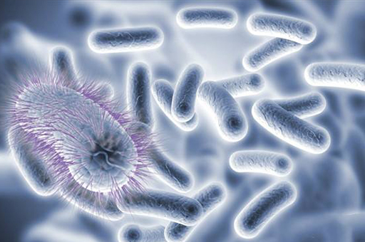 以前人们长虱子现在怎么没有了,为何30年前农村男女老少都有虱子