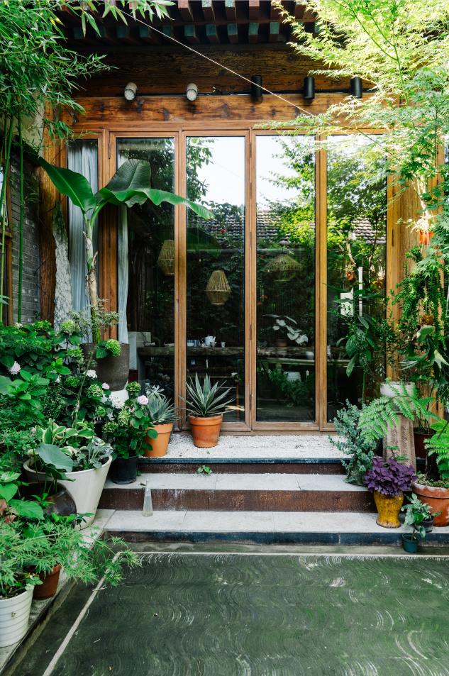 老实说，哥哥们爱起花草来，更疯狂