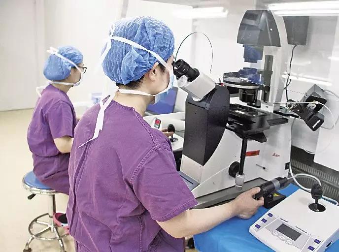 当卵子和精子相遇多少天受孕,试管精子和卵子相遇